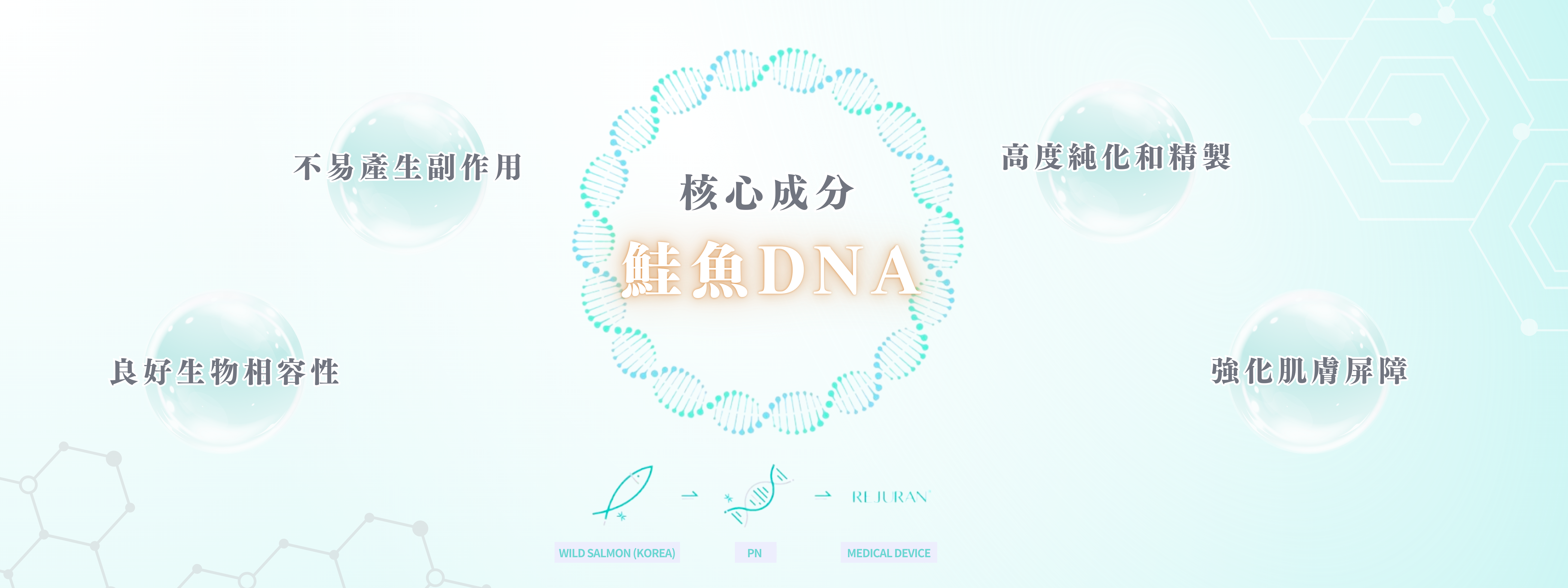 Rejuran Healer 麗珠蘭的核心成分