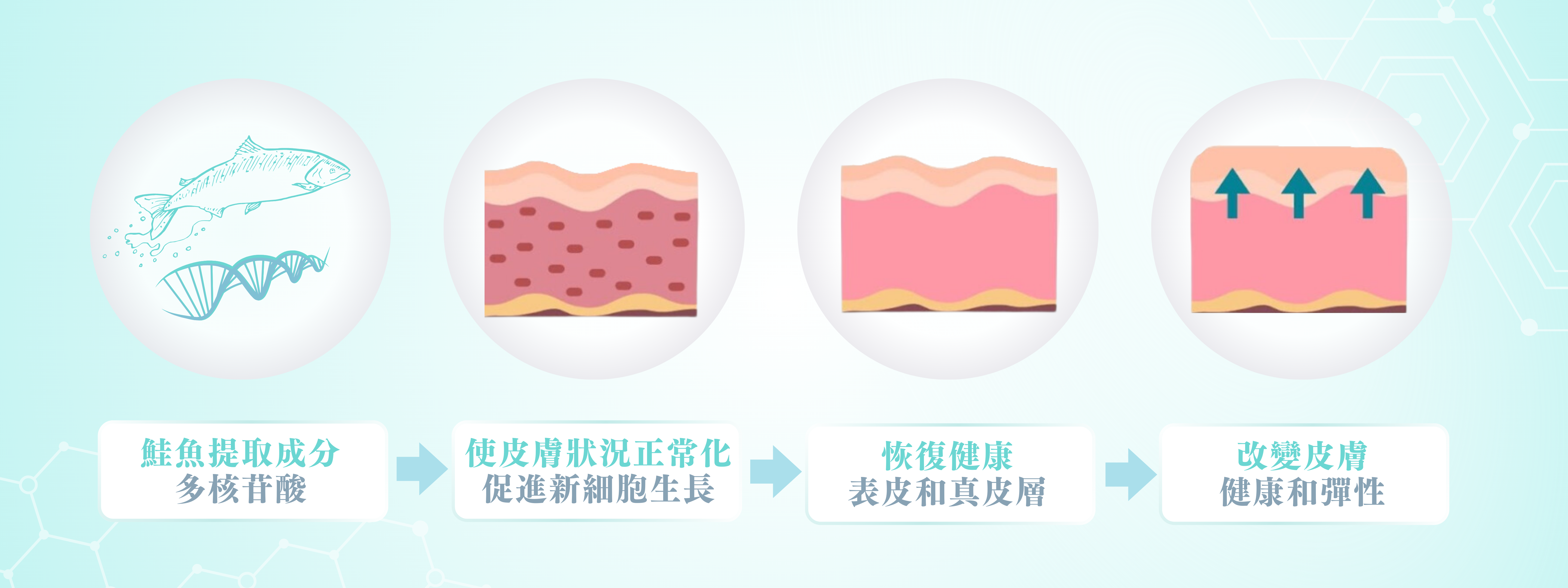 Rejuran Healer 麗珠蘭功效